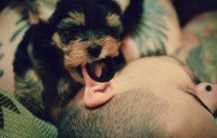 Mãe estou namorando.